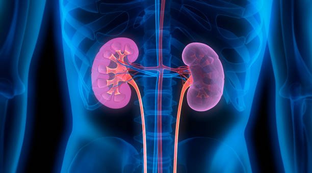 Best doctor for kidney in aurangabad